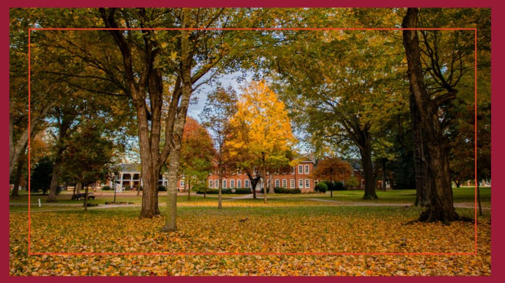 What a psychologist can teach you about succeeding in any AP/college&nbsp;course